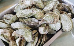 开小黄车的详细描写